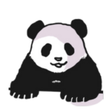 panda